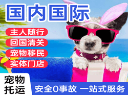 朔州滋润机场快递国际宠物托运 【国